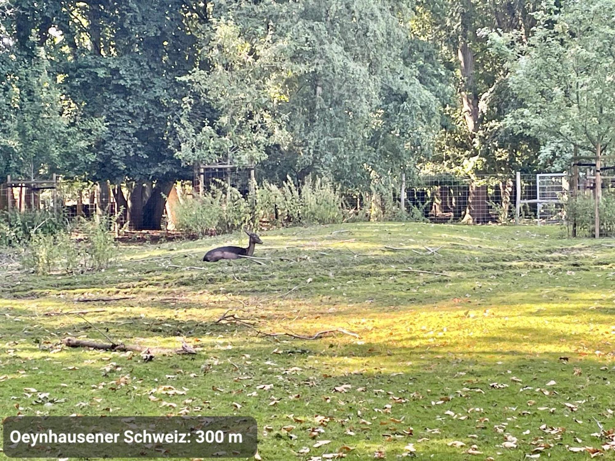 Top-Lage, 400 M Bis Gop, Bali-Therme Und Kurpark - Hdz - Parkplatz Bad Oeynhausen Luaran gambar